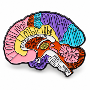 Pin Broche Metálico Salud Medicina Cerebro Accesorio